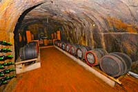 Винные дегустаиции в старинных винных подвалах в программе тура в Карпатах и Закарпатье